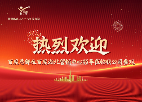 百度總部及湖北營銷中心領導蒞臨我司，共繪合作新藍圖